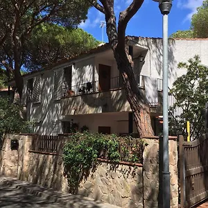 Piscis Platja d'Aro (Playa de Aro)